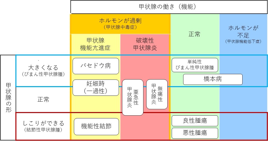 甲状腺の病気