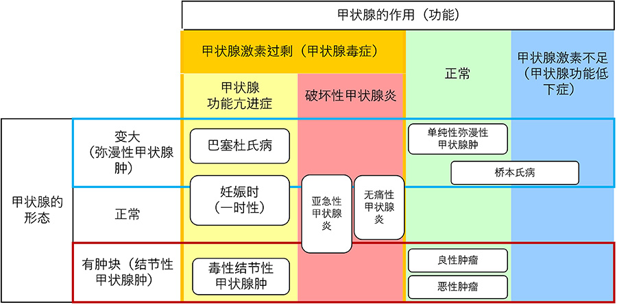 甲状腺の病気