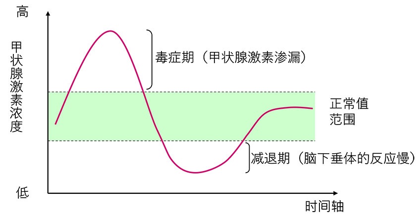 甲状腺ホルモン濃度